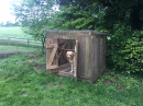 hen house